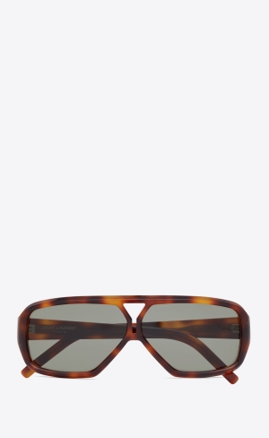 YSL Sl 569 Y Medium Havana | 15032-CQUS