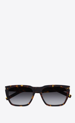 YSL Sl 598 Havana | 20874-WABR